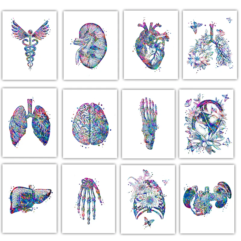 Anatomy Medical Poster Flower  – обзор и цена Medical Lab Posters