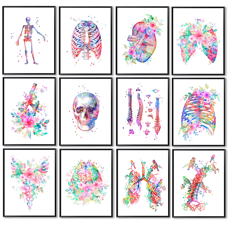 Анатомический медицинский пост – обзор и цена Medical Lab Posters