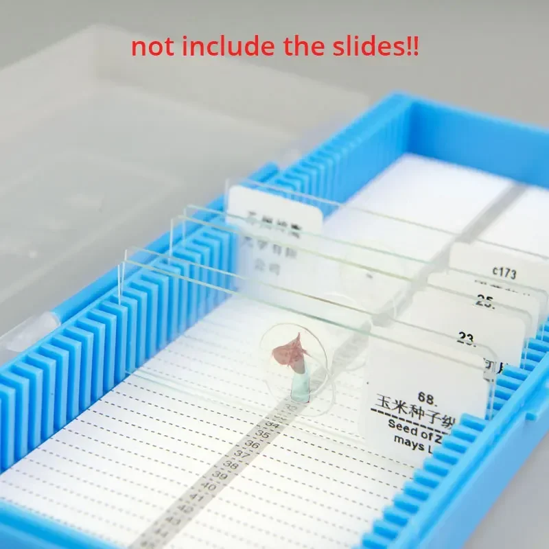 Пластиковый футляр для предмет – обзор и цена Pathology Slide Storage